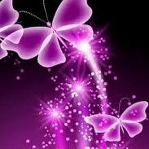 Meet your Posher, Laurie